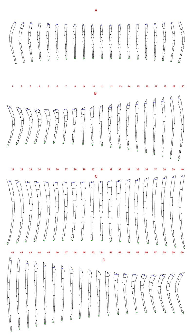 House-in-a-Garden_Cladding-unrolled-with-dims