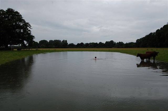 Kemerton New Park Floods (and Matt swims with cows) 049